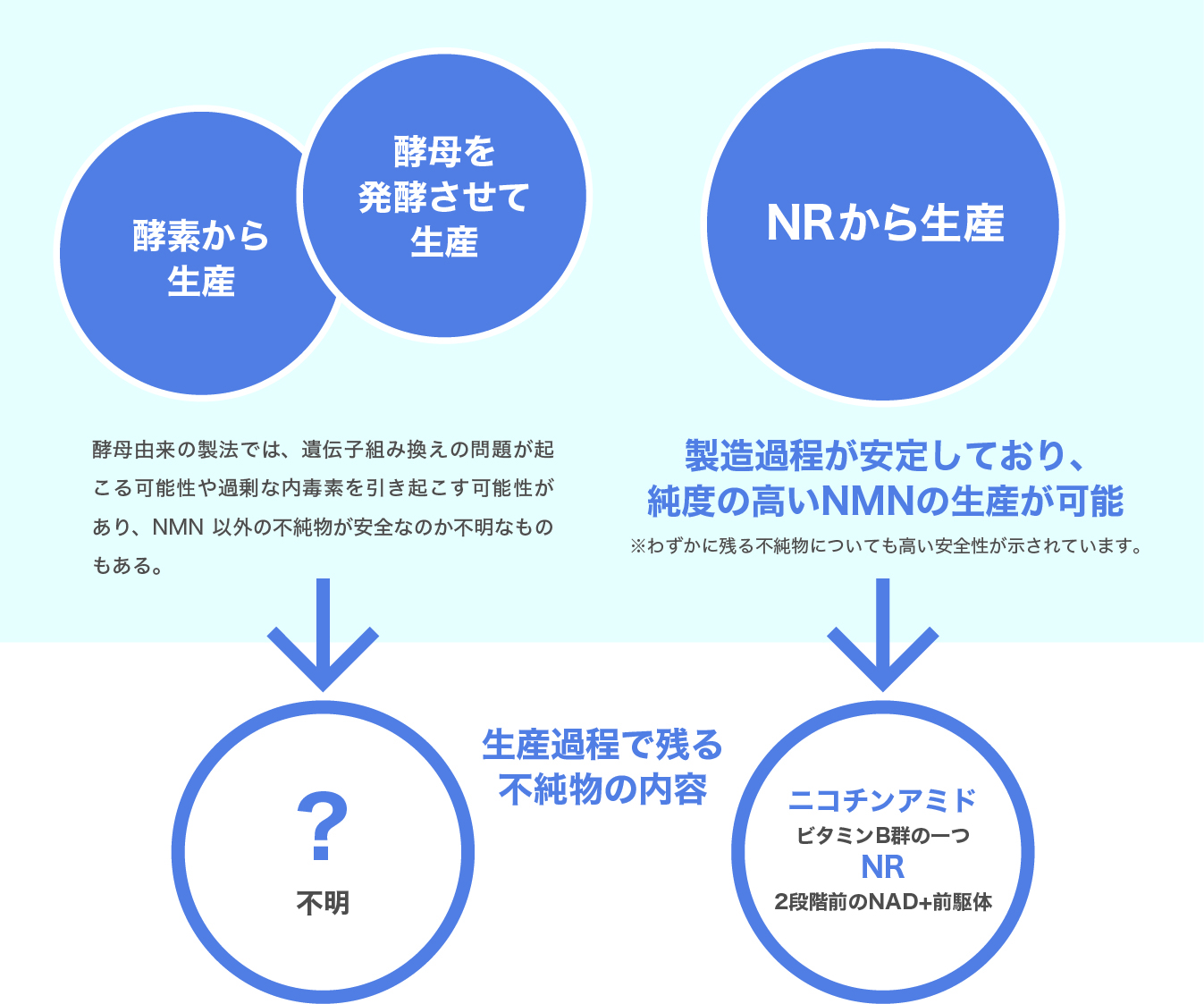 酵母由来の製法では､遺伝子組み換えの問題が起こる可能性や過剰な内毒素を引き起こす可能性があり､NMN以外の不純物が安全なのか不明なものもある｡　製造過程が安定しており､純度の高いNMNの生産が可能 ※わずかに残る不純物についても高い安全性が示されています｡